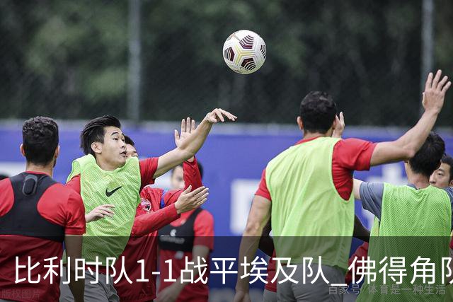 比利时队1-1战平埃及队 佛得角队爆冷逼平西班牙队