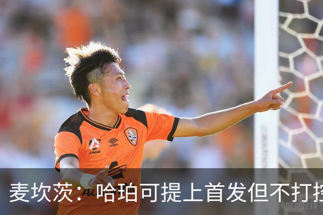 麦坎茨：哈珀可提上首发但不打控卫 建议马刺留福克斯打五小